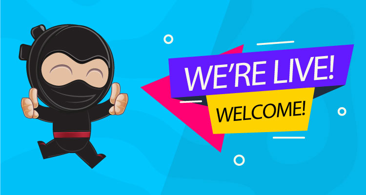 Hi there! We're Code Ninjas.